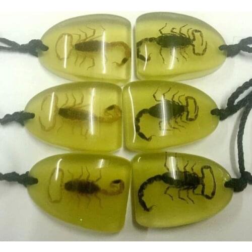 12 pcs Triangle style vogue scorpion pendant
