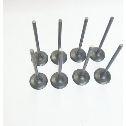 Car engine cylinder inlet valve HD00-12-111M1 for Haima 3 2007-2012 479Q