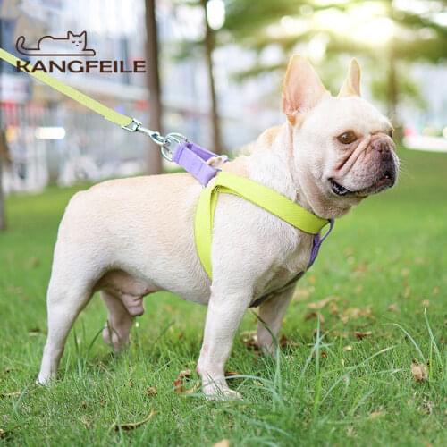KANGFEILE Pet Vest Harness Leash Sets Adjustable Chest Puppy Harness Breathable for Small Medium Dog Cat Supplies D2373
