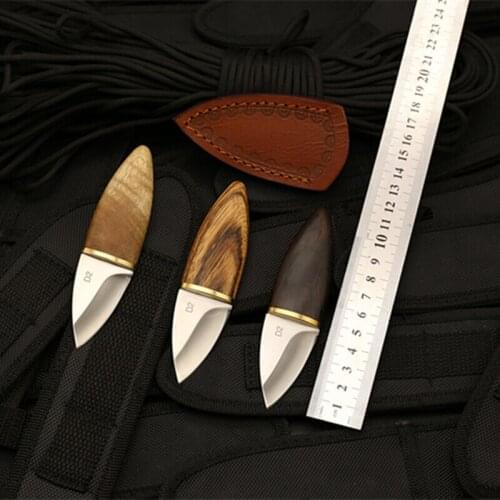 Creative solid wood handle D2 stainless steel knife mini fruit knife EDC outdoor Survival portable gadget tactical pocket knife