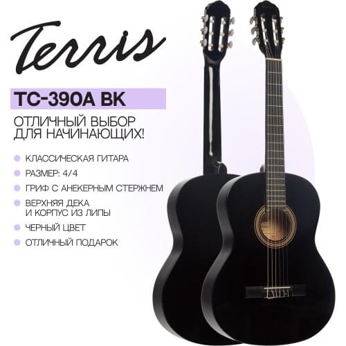 Terris Guitars