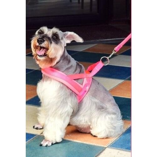 Dog traction rope pet products with new pet dog chest strap and traction rope Dog pull rope