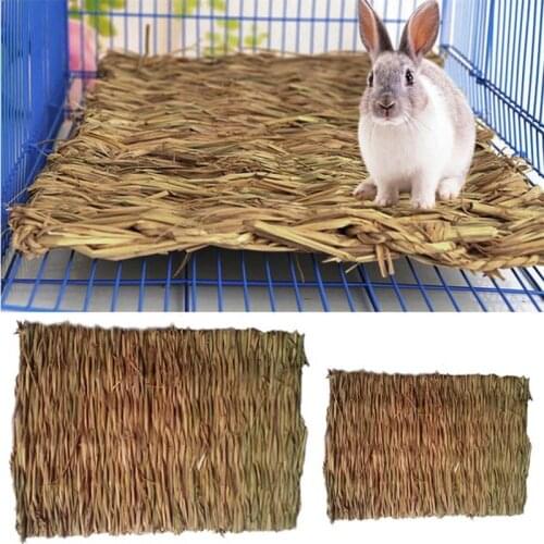 1Pcs Small Animal Rat Guinea Pig Interesting Pet Toys 2 Sizes New Hamster Grass Mat Pet Rabbit Chew Mat Breakers Toy