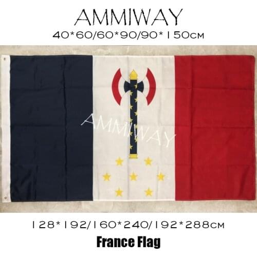 AMMIWAY Any Size Chief of State of Vichy France Flags and Banners France Philippe Petain Flag French National Decorative Flag