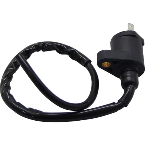 Motorcycle High Voltage Coil For Yamaha Raptor 90 YFM90R 2009-2013 43D-H2310-00 For Kawasaki KSF50 KFX50 KSF90 KFX90 21121-Y001