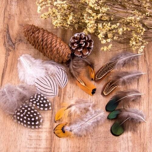 24Pcs/Bag Pheasant Feathers 8-13cm DIY Jewelry Accessory Natural Pearl Chicken Plumes for Crafts Fly-Tying Material