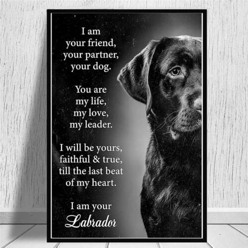 Human Friend Animal Dog Canvas Paintings on The Wall Art Posters Prints Wall Pictures for Living Room Home Wall Cuadros Decor