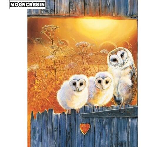 Diamond Embroidery 5D Diy Diamond Painting Owl Cross Stitch Kit Paint With Diamonds Mosaic Rhinestone Animal Handwork Decorative