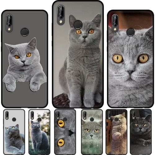 British Shorthair Cat Soft Cover For Huawei P30 Lite P40 P20 Pro Mate 20 10 Lite P Smart 2021 2019 Phone Case