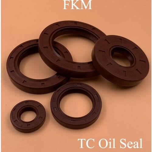 5*15*6 5x15x6 5*16*6 5x16x6 6*15*4 6x15x4 Fluoro FKM Fluorine Rubber 2 Lip Spring TC Ring Gasket Radial Shaft Skeleton Oil Seal
