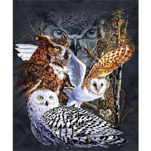 5D Full Diamond Embroidery Painting Owl Birds Mosaic Rhinestones Sticker Wall Decor Puzzle Picture Toy Diamond Dotz Large Size