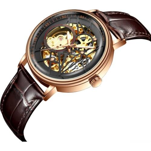 BIDEN Luxury MensBusiness Casual Sport Waterproof Luminous Automatic Mechanical Wristwatch with man