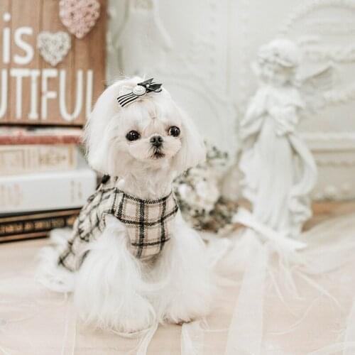 College Style Sub-dress Autumn Winter Pet Clothes Cotton Dog Clothes for Small Dogs Vestidos Para Perritas Girl Dog Clothes
