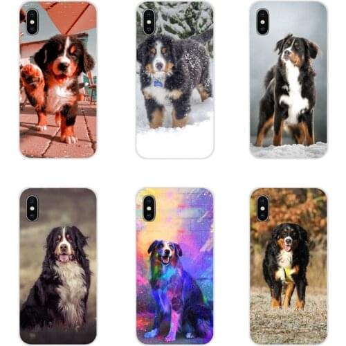 Animal Bernese Mountain Dog For Xiaomi Mi4 Mi5 Mi5S Mi6 Mi A1 A2 A3 5X 6X 8 CC 9 T Lite SE Pro Accessories Phone Shell Covers