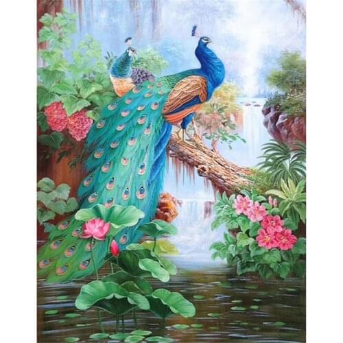 Bird Diy Peacock Pre-Printed 11CT Cross-Stitch Embroidery Set DMC Threads Painting Handmade Knitting Handiwork Room