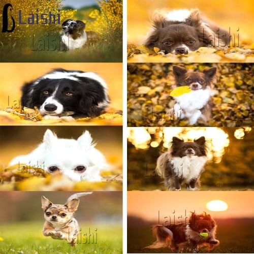 Diamond embroidery Cute Border Collie Sunset Maple Forest Series animal dog diamond painting full square round drill home decor