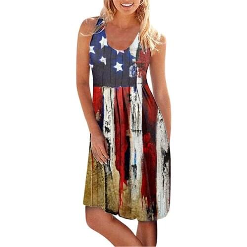American Flag Star Dress For Independence Day Floral Chrysanthemum Printed Summer Graphic Sleeveless Loose O Neck Dresses