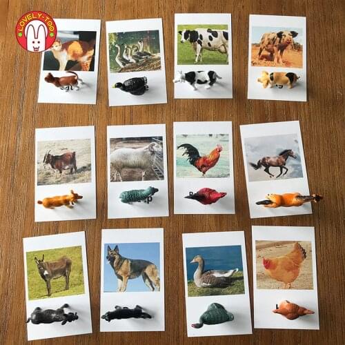 24PCS Montessori Toys For Boys Biology Farm Animal Models Matching Cards Game Preschool Educational Learning Poultry Kid Toy