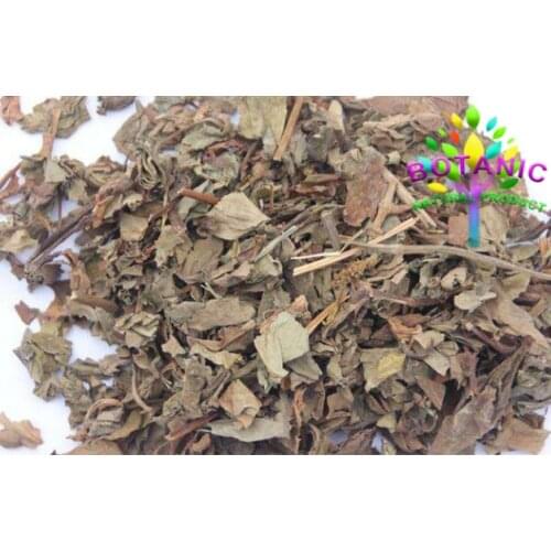 Houttuynia cordata (Houttuynia cordata Thunb.) enhances the disease resistance of human body