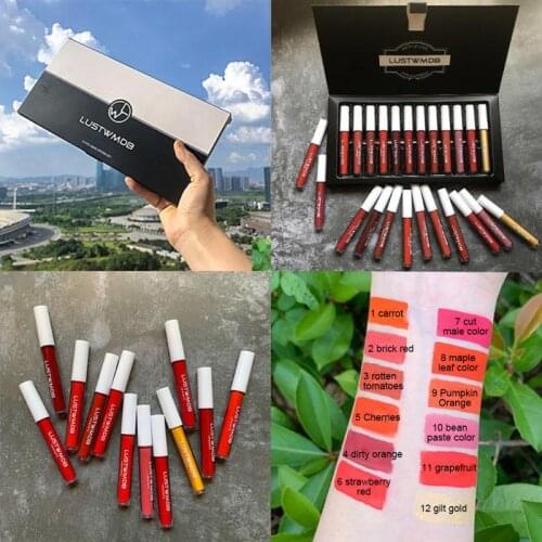 12-Color Lip Glaze Set Velvet Matte Moisturizing Waterproof Quick-Drying Non-Fading Non-Stick Cup Lipstick Makeup TSLM1
