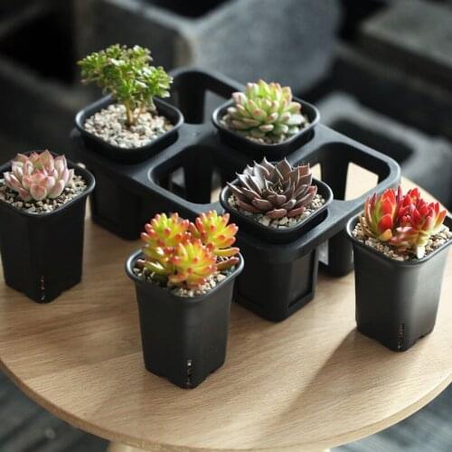 Garden supplies floor plastic thick garden flower pots planter nursery pots with pot tray 6green plant pots+1pot tray set