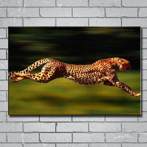 Y101 Speed of Leopard Wild Animals 14x21 24x36 27x40 Inch Art Silk Poster Print Canvas Wall Sticker