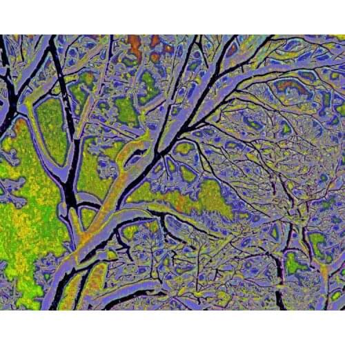 68*90cm Belgium jacquared wall hanging tapestry home sarpa Modern style decorative blanket Retro vintage branch Abstract tree