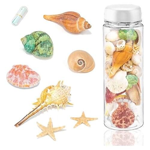 Sea Shells Mixed with Wish Bottle and Mini Paper Roll, 100 PCS Colorful Natural Conch Starfish for Candle Making Home Decorati