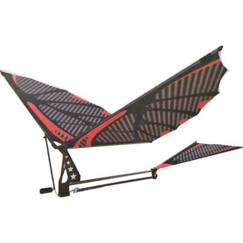 Kacakid Radio-controlled Aircraft