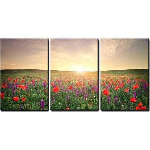 3 Piece Canvas Wall Art - Field with Grass, Violet Flowers and Red Poppies Against The Sunset Sky Ready to Hang Drop shipping
