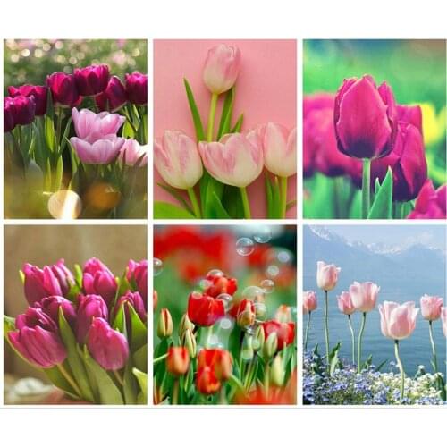 Full Diamond Painting Tulips Scenery Diamond Art Flowers Stones Picture Canvas Puzzle Toy Children Gifts Wall Decor Small Size
