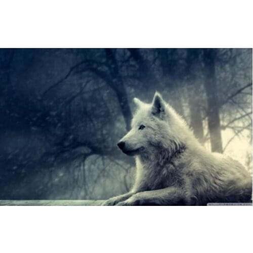Modern Home Decoration Wall Decor Painting Canvas Art Hd Print fabric poster white wolf arctic fox painting