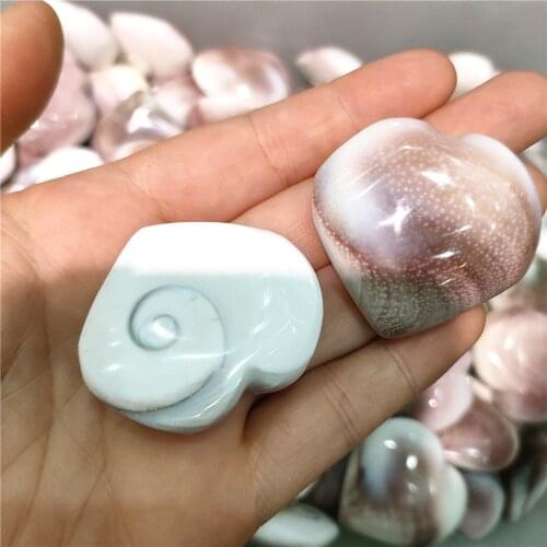 2pcs Natural Sun shell fossil Fossil Specimen Crystal Love Heart Reiki Shiva Eye