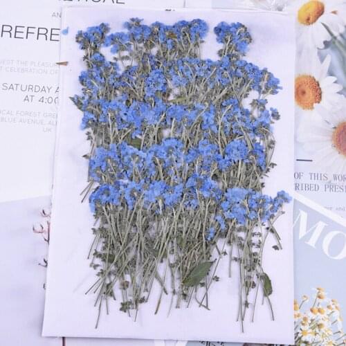 100 Pcs, Natural Pressed Forget-Me-Not Flowers With Stem, Real Dried Flower For DIY Invitation Craft Bookmark Gift Cards