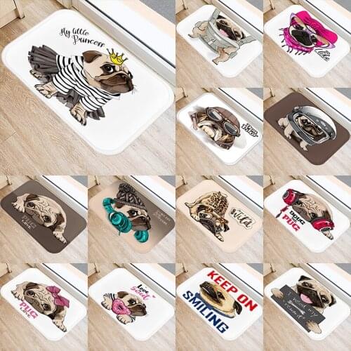 Cute Dog Pattern Printed Kitchen Entrance Door Mat 40*60 Coral Velvet Carpet Doormat Floor Mats Colorful Anti-Slip Rug 48046