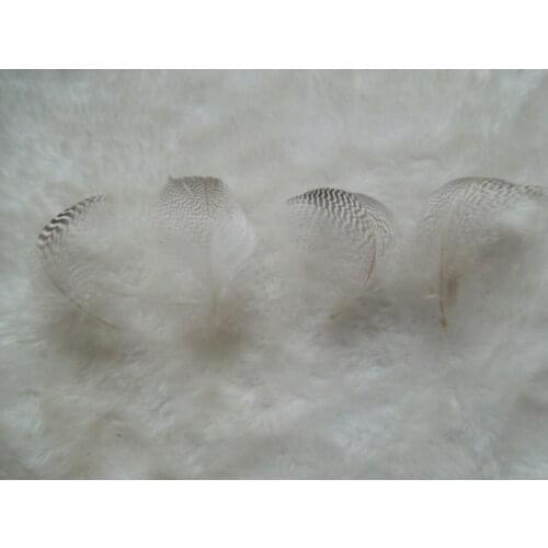 50Pcs 4-6cm Natural Grey Wild Duck Feathers for Diy Carnival Costume Mask Headdress,Plumas Decoration,Fly Tying Materials
