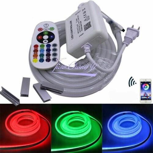 1-10M 110V/220V 5050 60LED/M RGB LED strip neon lights IP67 waterproof with 24key RGB Bluetooth controller kit