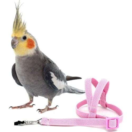 Anti-bite Flying Training Rope Parrot Bird Pet Leash Kits Ultralight Harness Leash Soft Portable Pet Plaything Bird Product