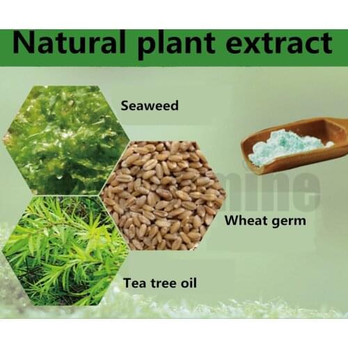 800g Tea Tree Essential Oil Modeling Peel Off Mask Powder Soft Film Powder High Quality Beauty Salon Equipment