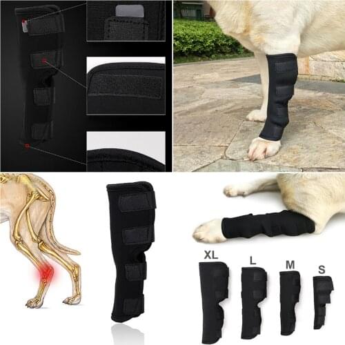 1PC New Protector Brace Breathable Injury Recover Legs Dog Knee Support Leg Pet Leg Care for Hind Leg Hock Joint Wrap
