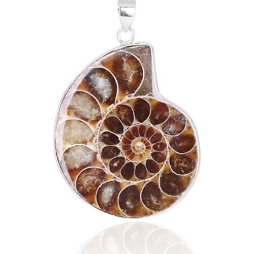 Natural Ammonite Fossils Pendant Jewelry Tone Ammonite Fossils Stone Wrapped Pendant Necklace Fashion Jewelry