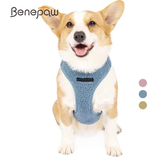 Benepaw Breathable Fleece Dog Harnes Leash Set For Small Medium Dogs Durable Soft Adjustable No Pull Pet Puppy Vest Easy Walk
