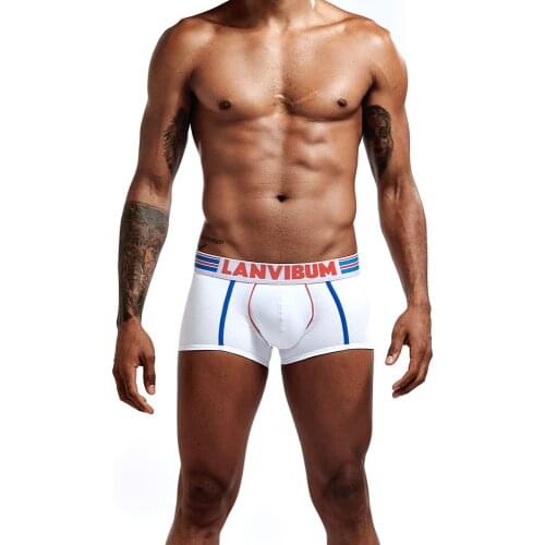 Brand Boxer Shorts Gifts for Men Trunks Cotton Low-Waist Fashion Soft Breathable Casual Sexy Underwear Sexy boy boxershorts