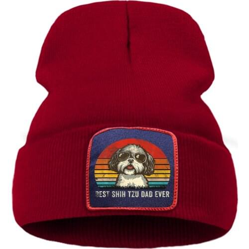 Hat Funny Dog Rainbow Vintage Print Women Winter Knit Hats Outdoor Casual Unisex Autumn Hat Warm Fashion Hip Hop Beanie For Boy