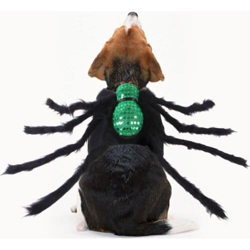 Funny Halloween Pet Spider Clothes Puppy Cat Horror Simulation 3Color Plush Cosplay Spider Transformation Party Pet Supplies