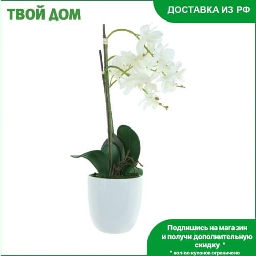 Fuzhou Light Products For The Holiday