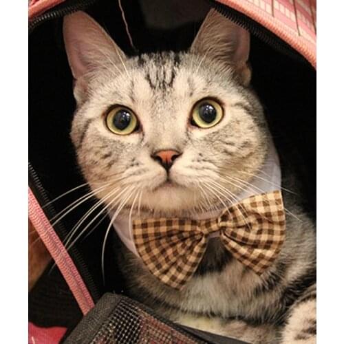 Pet Accessories Cat and Dog Bow Tie Universal Fashion Durable Bow Tie Jewelry Pet Supplies Qianyi