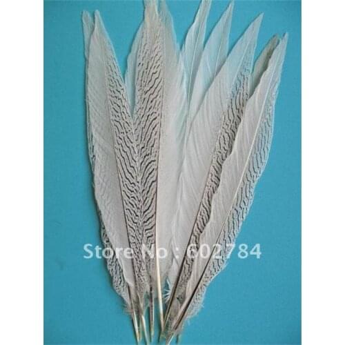 EMS Free shipping 50PCS 18-20 inches 45-50cm Silver pheasant feather silver feather