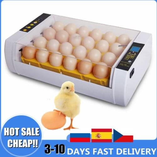 Hot Sales Egg Incubator 220V Brooder Bird Quail Hatchery Machine Digital 24 Egg Poultry Hatcher Automatic Farm Incubation Tools