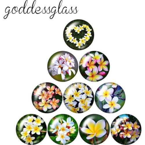 Beauty Flowers Plumeria Lotus lavender 10pcs mixed 12mm/18mm/20mm/25mm Round photo glass cabochon demo flat back Making findings